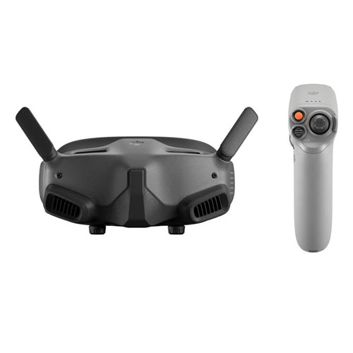 DJI Goggles 2 Motion Combo (DJI RC Motion 2)