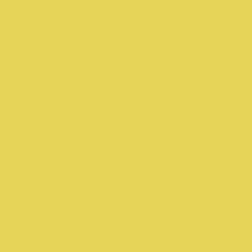 BD Seamless Light Yellow 2.72m x 11m