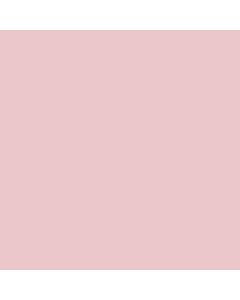 BD Seamless Pastel Pink 2.72m x 11m